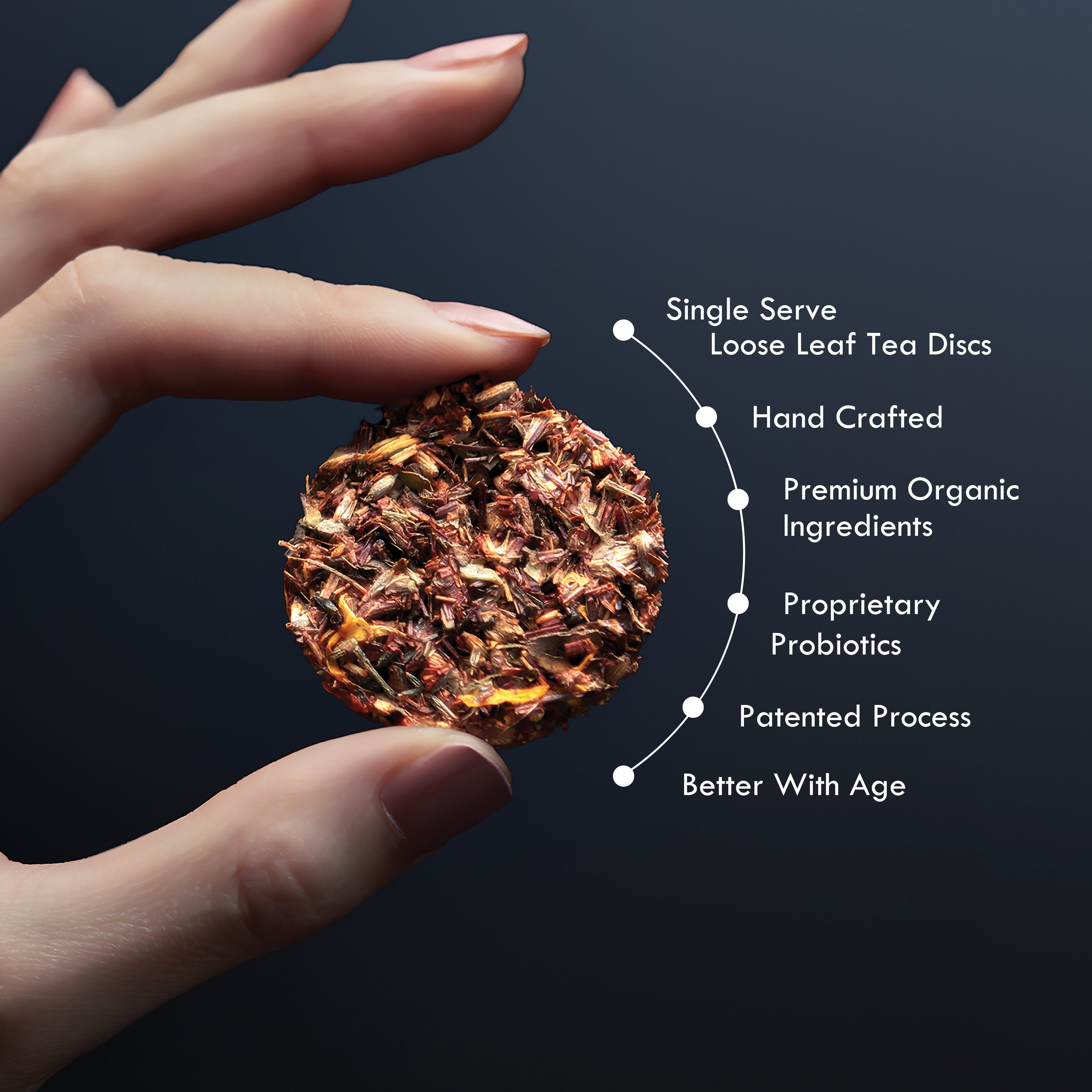 Citrus Punch No. 53 – Citrus Probiotic Oolong Tea Discs - iLOLA