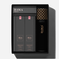 Humidor Starter Set – Tea Aging + Storage System - iLOLA
