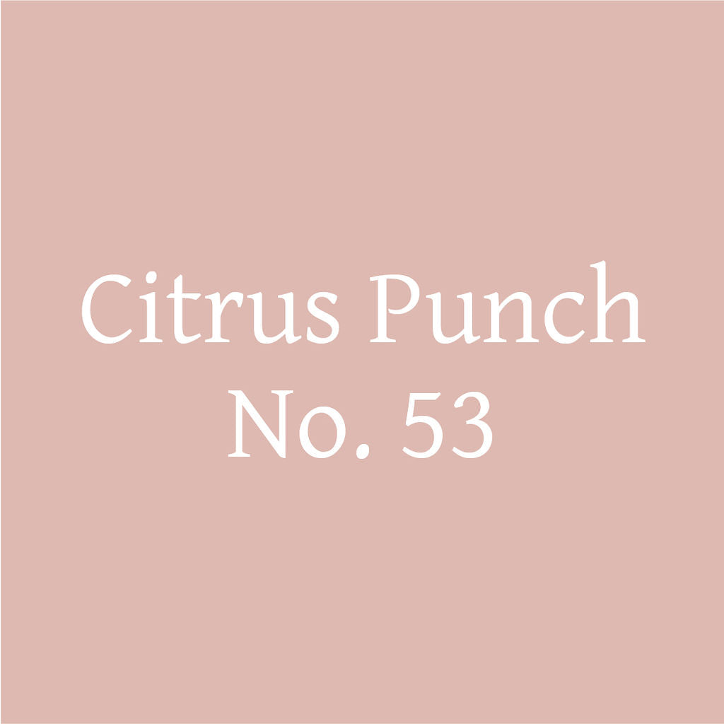 Citrus Punch No. 53 – Citrus Probiotic Oolong Tea Discs - iLOLA