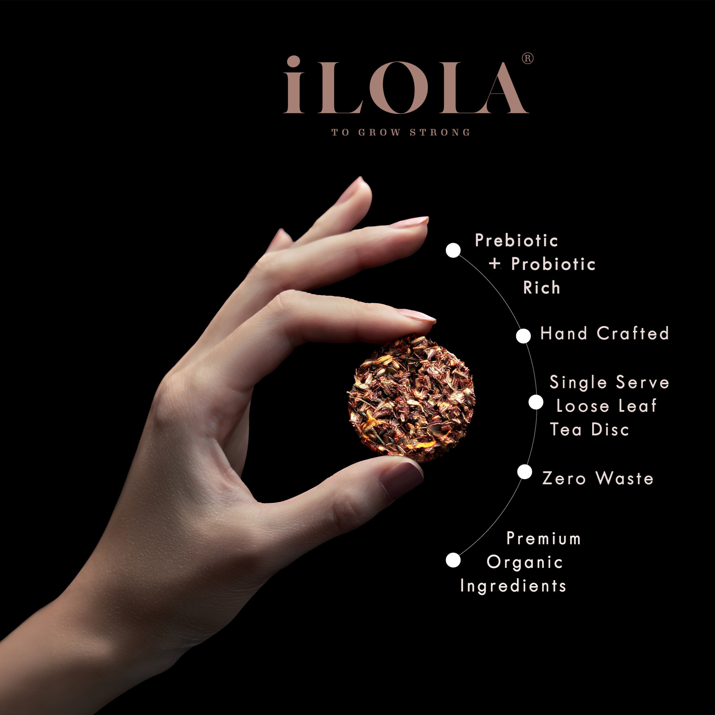 Cape Carousel No. 63 | Loose Leaf Herbal Tea - iLOLA