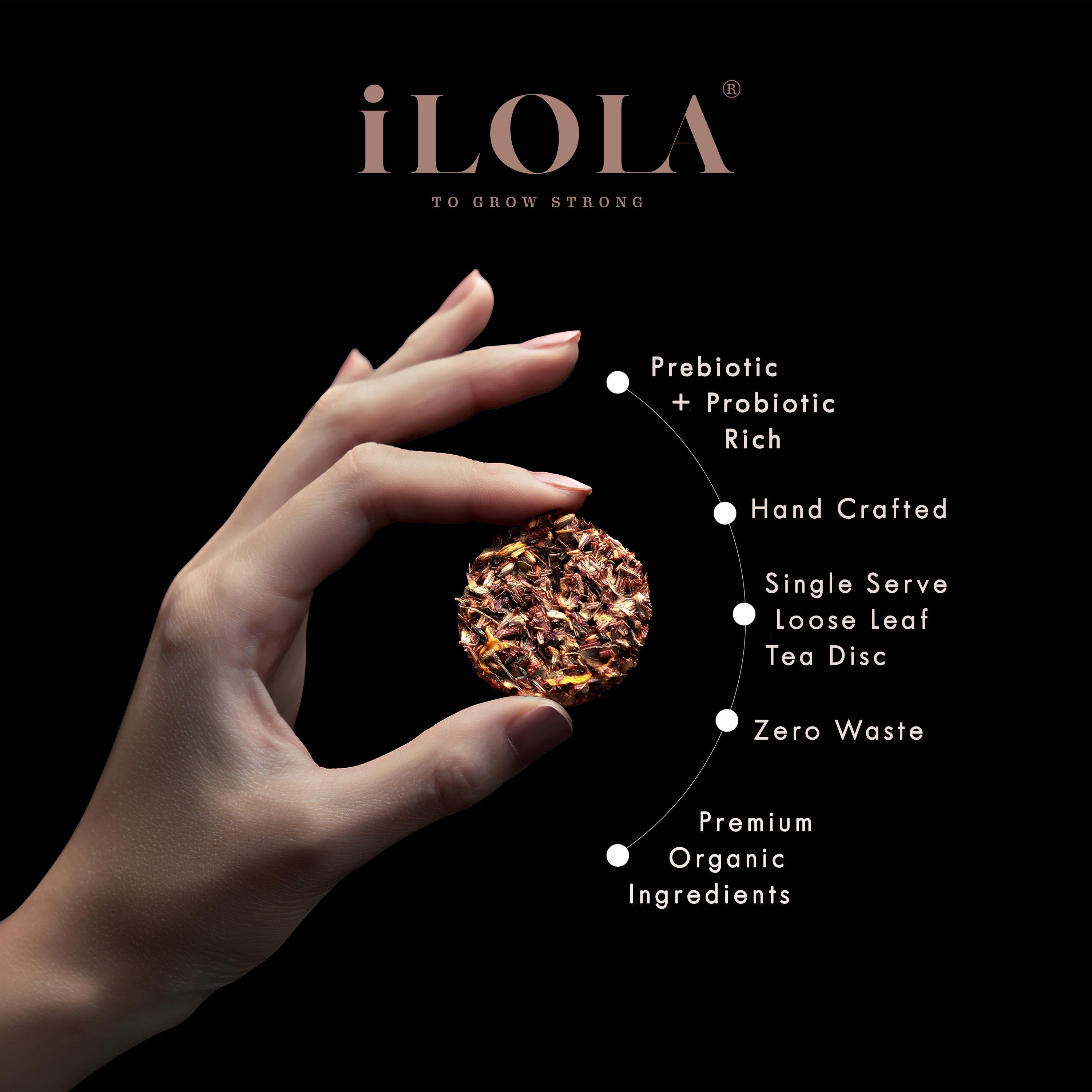English Breakfast No. 11 | Loose leaf Black tea -iLOLA