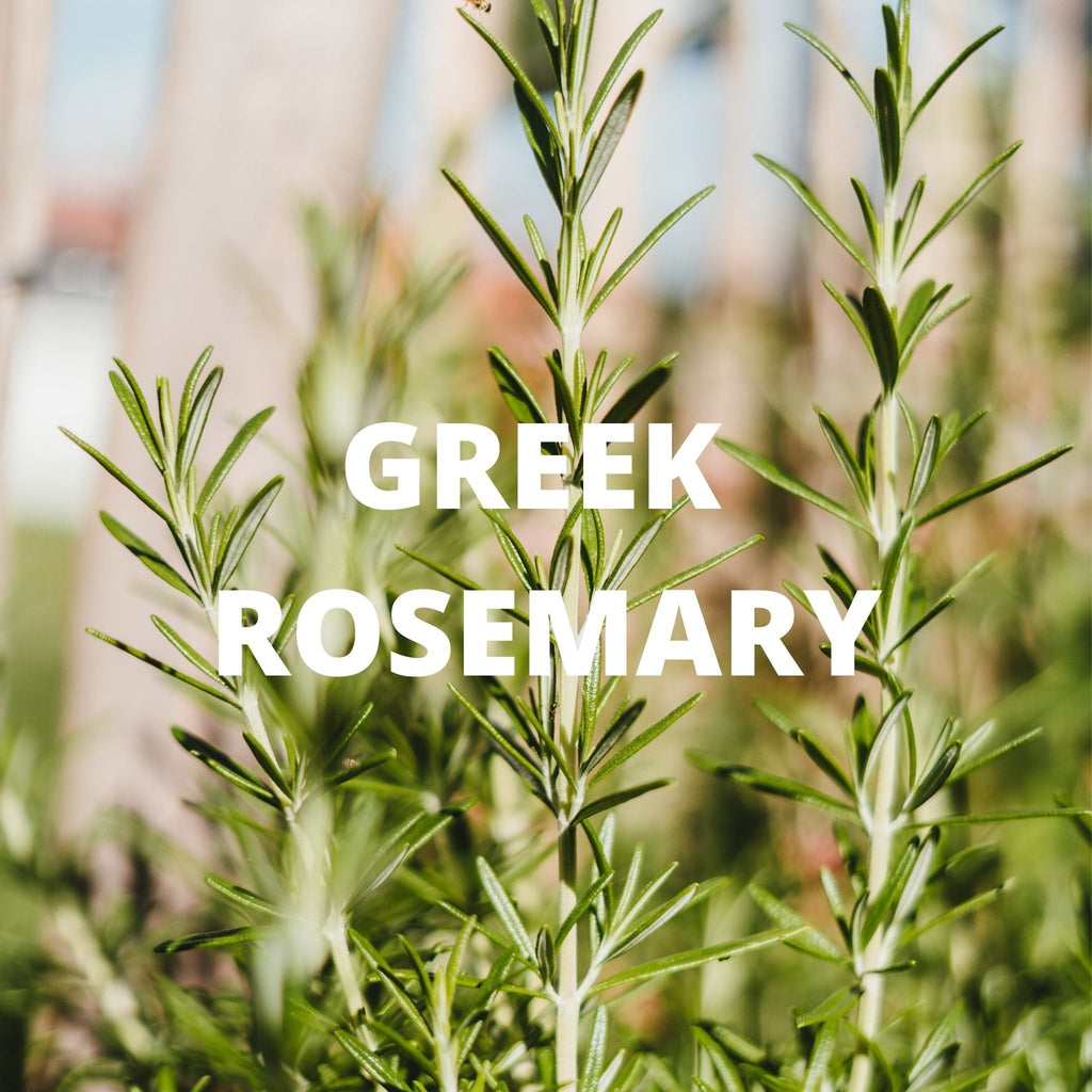 Digestion Tea - Greek Superherbs