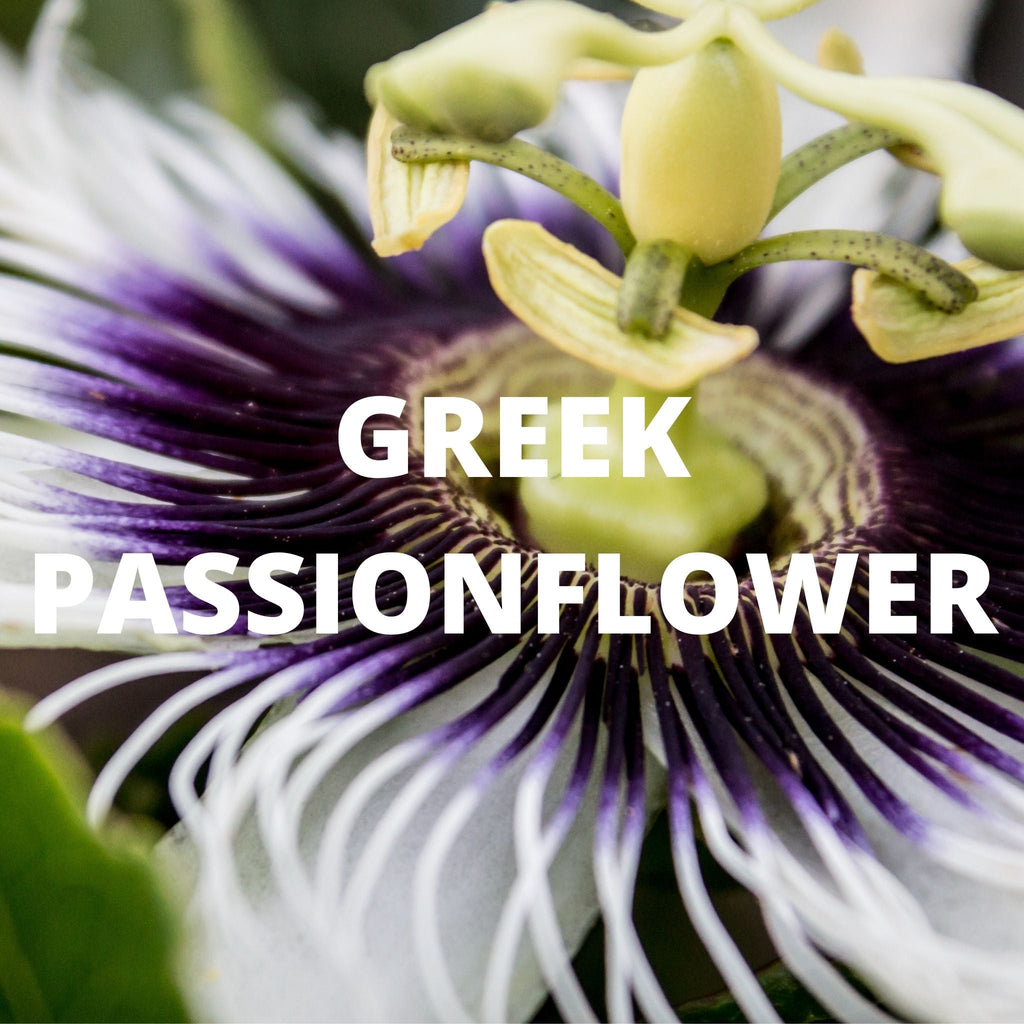 Sleep Tea - Greek Superherbs