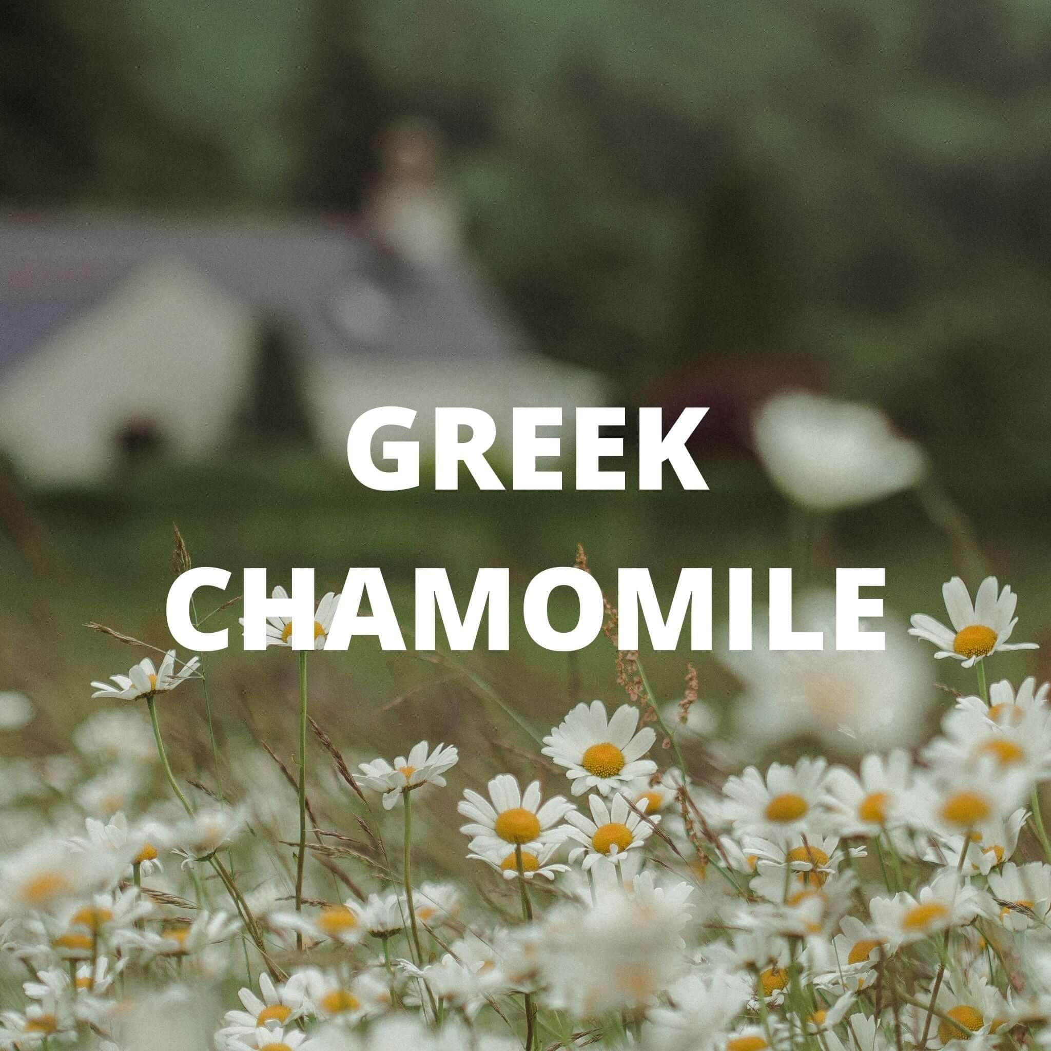 Calm Tea - Greek Superherbs
