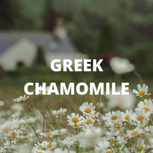 Calm Tea - Greek Superherbs