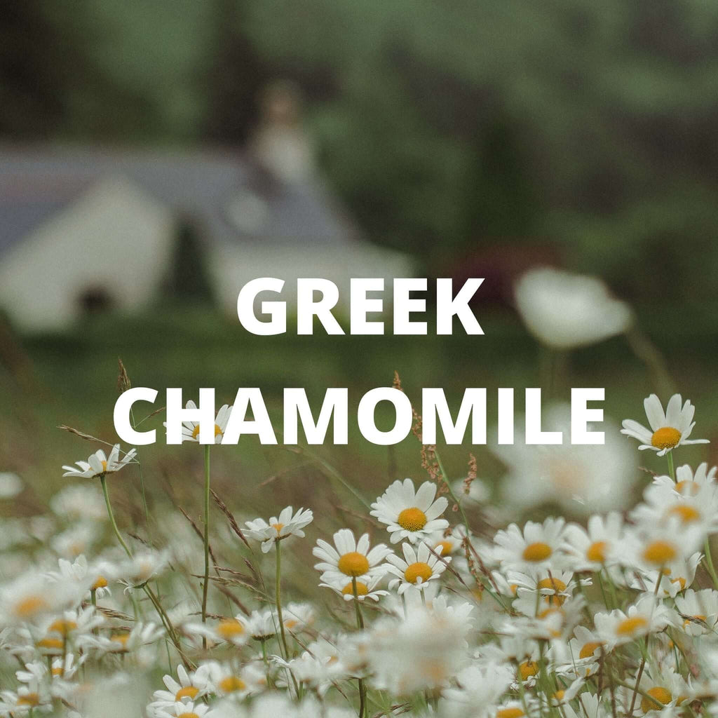 Sleep Tea - Greek Superherbs
